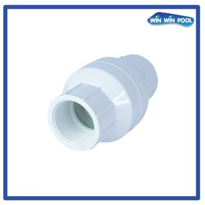 Spring Inline Check 2"